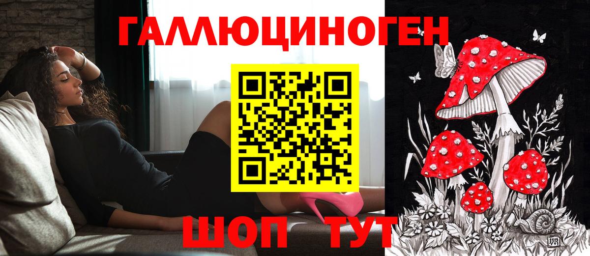 Галлюциногенные грибы Cubensis Красноуфимск